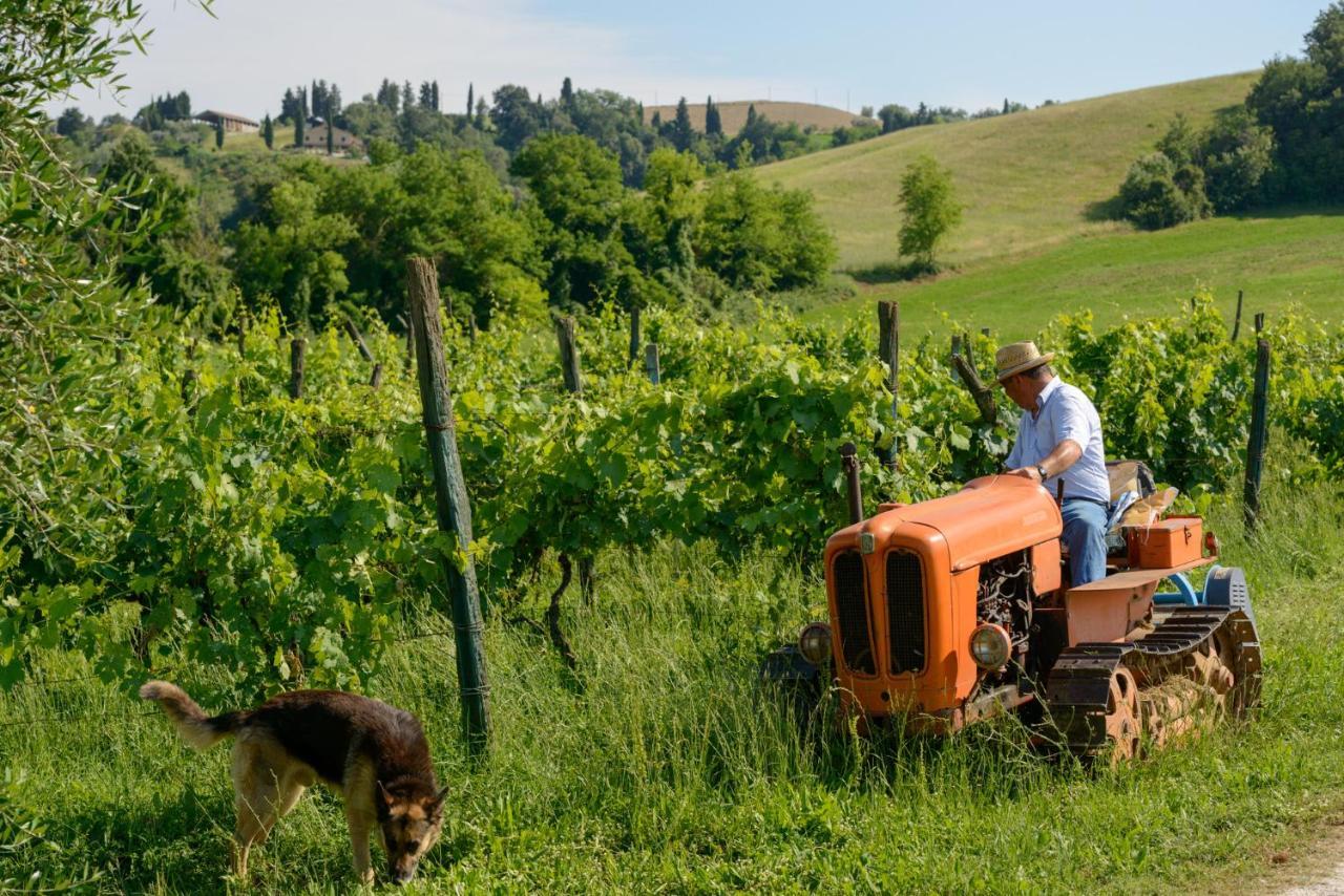 Agriturismo Pretenzano Volterra Kültér fotó