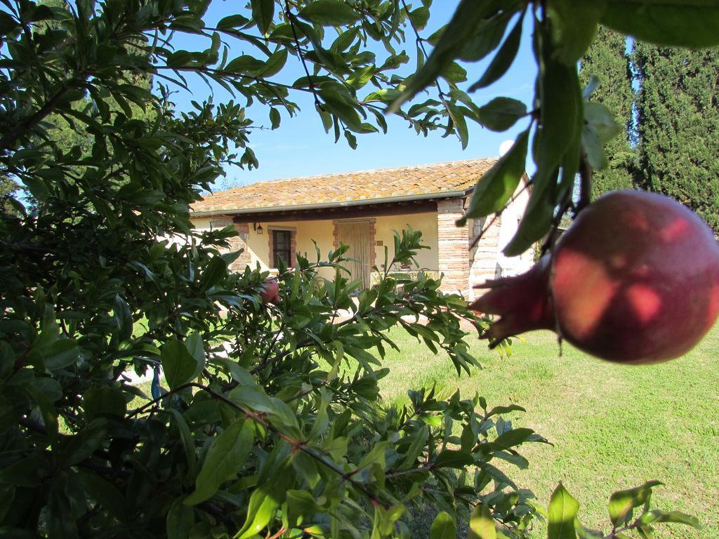Agriturismo Pretenzano Volterra Kültér fotó
